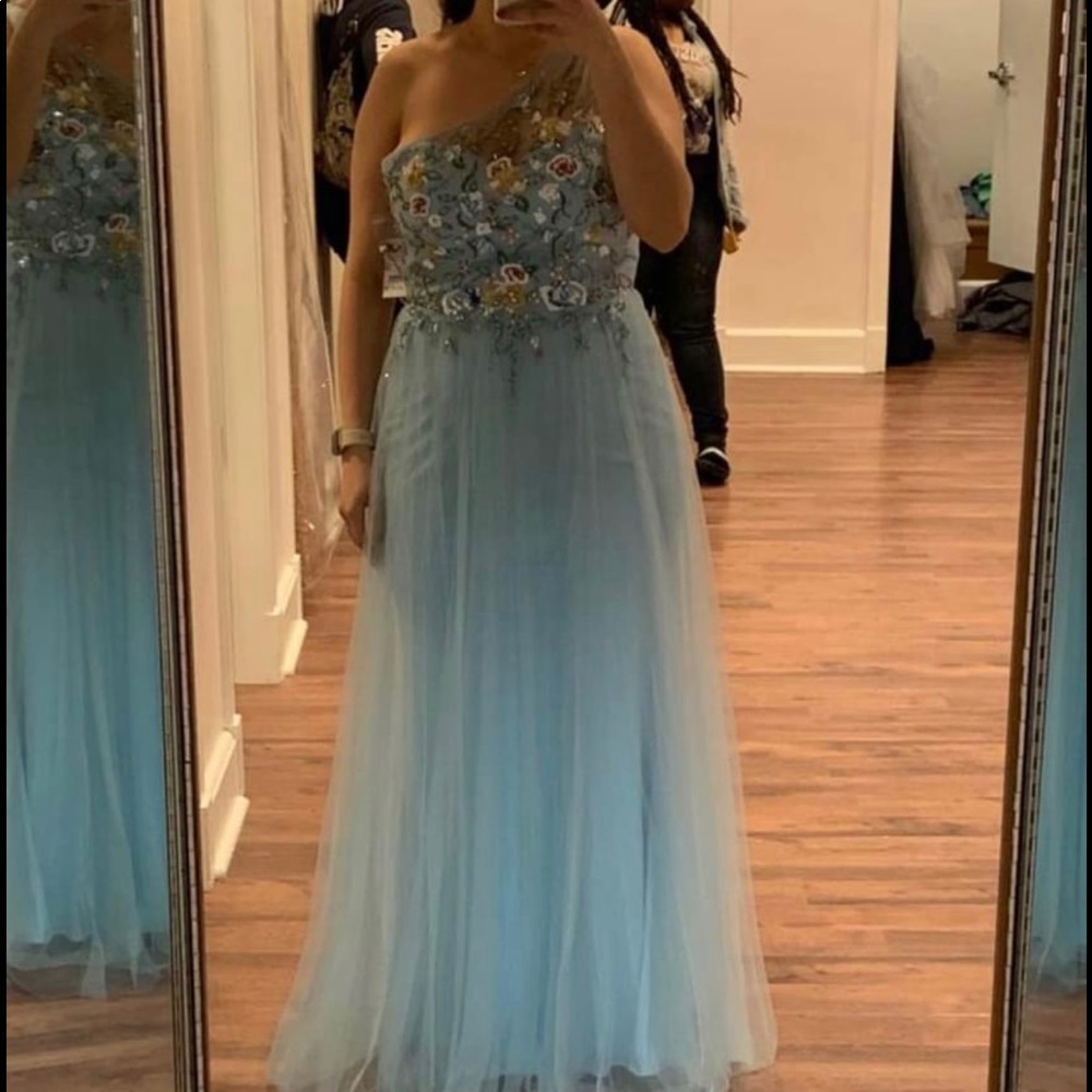 Baby blue tulle embroidered dress